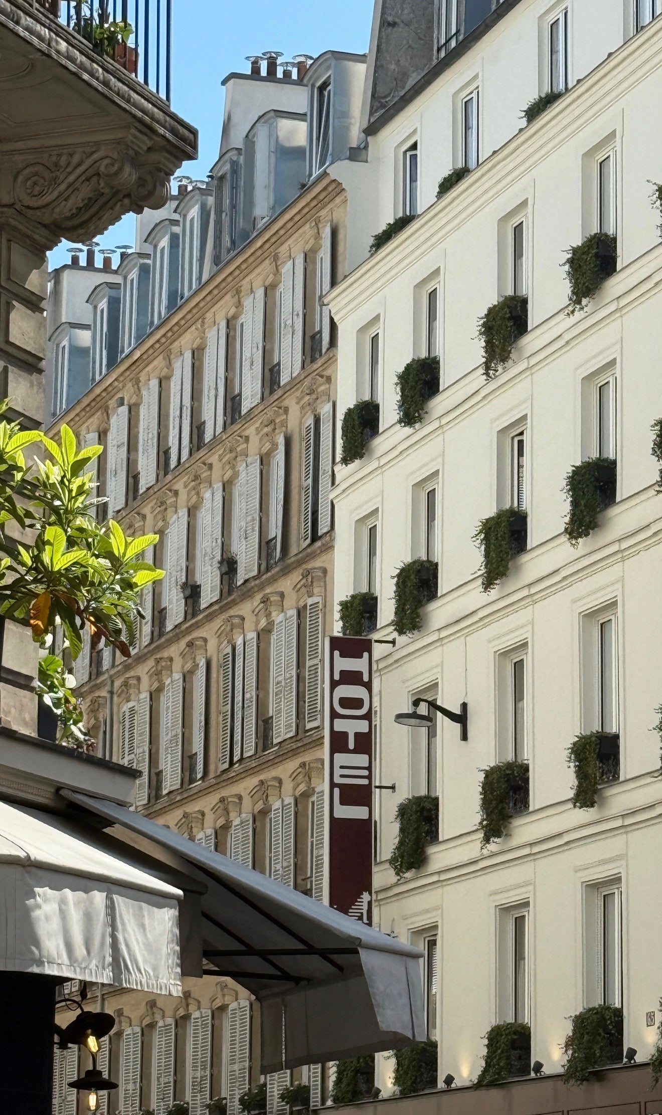 E-shop/Thrift finds/Paris Picks