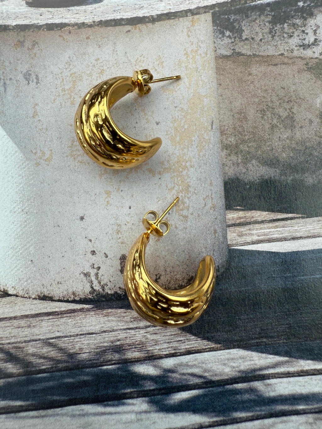 Earrings Tenty