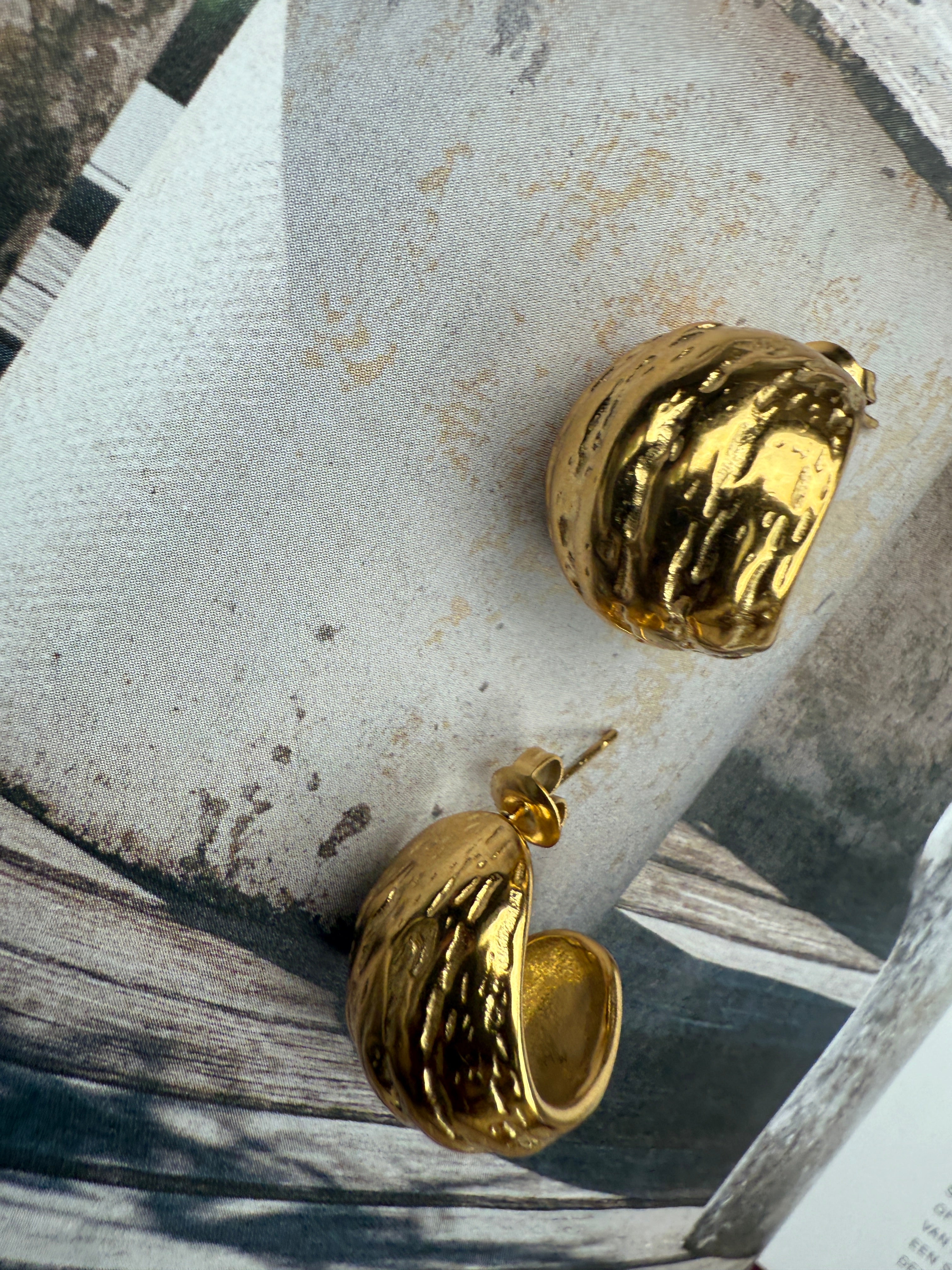 Earrings Tenty