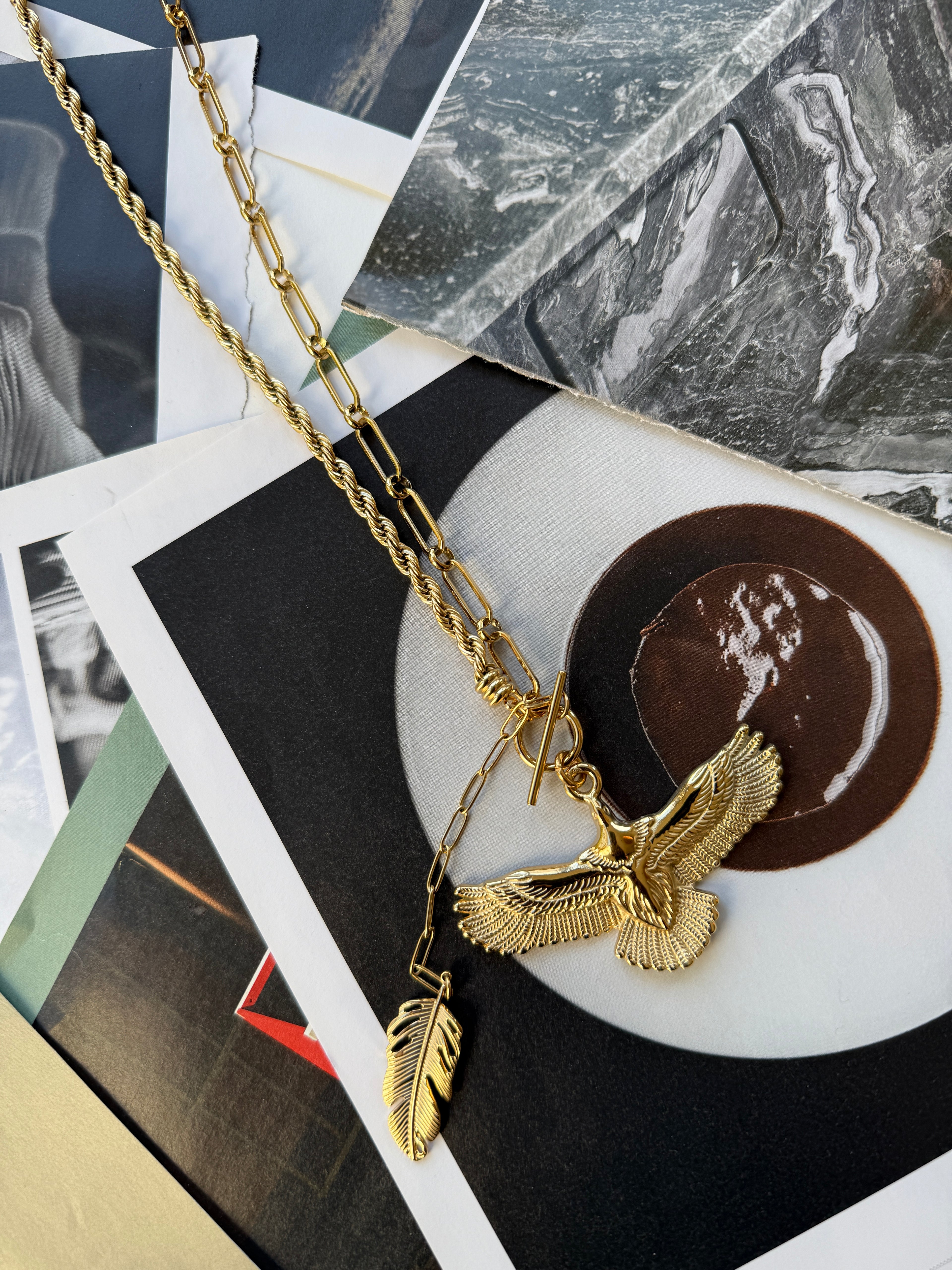 STAINLESS STEEL COLLIER