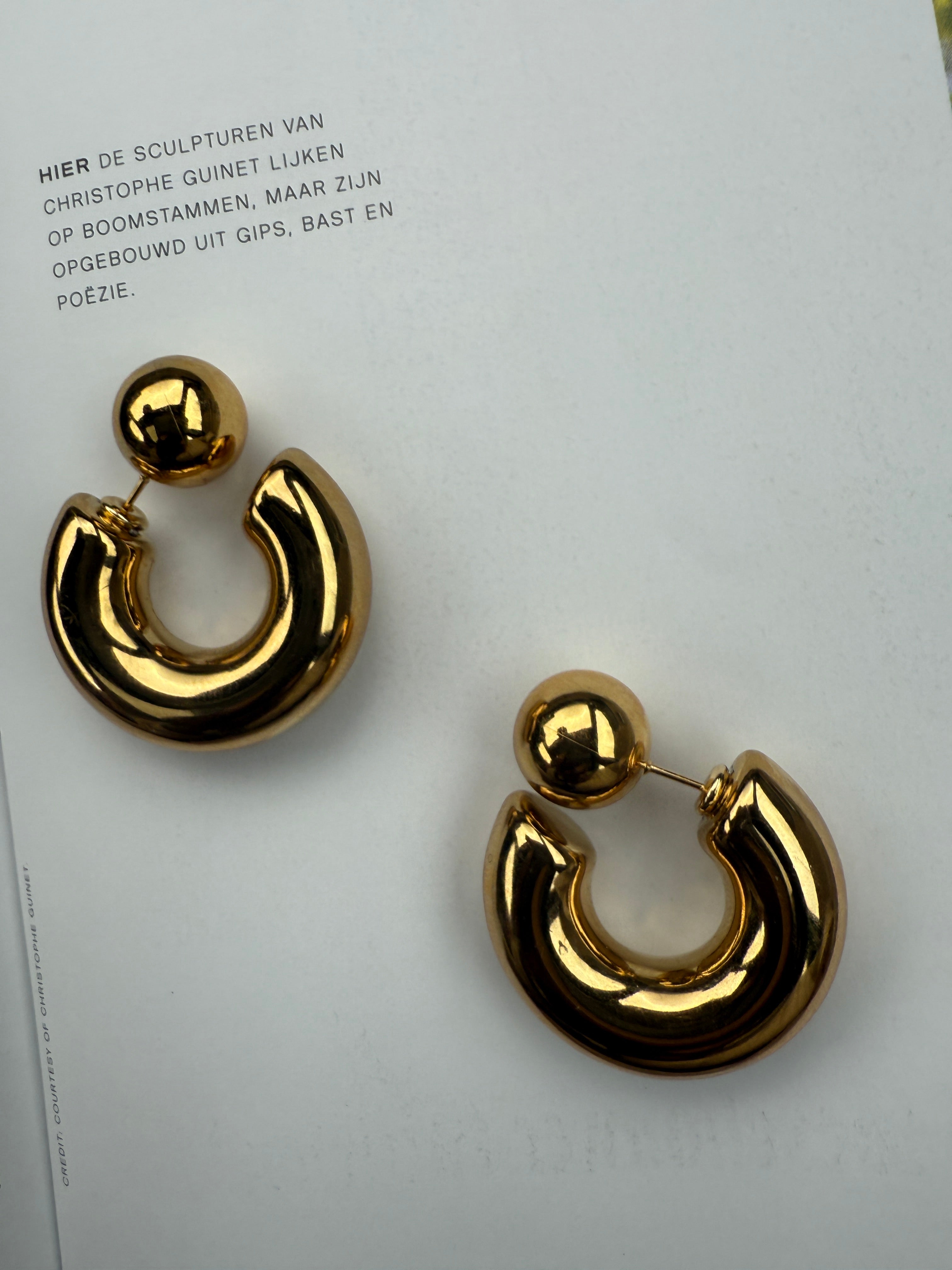 Earrings Buuli