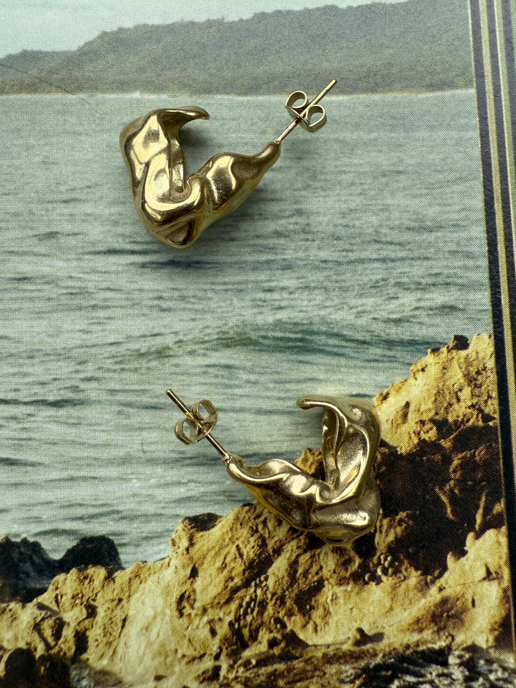 Earrings Loos