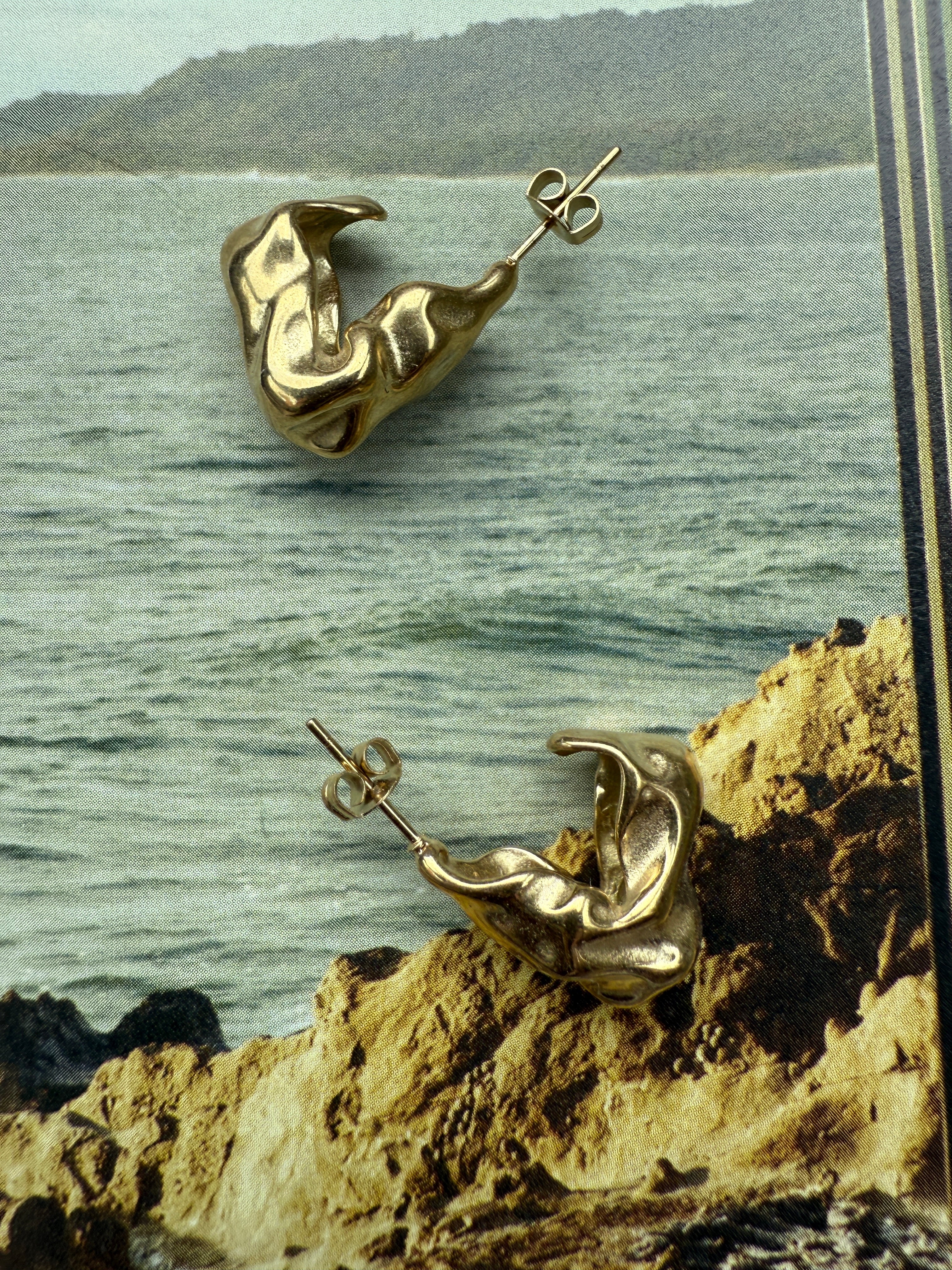 Earrings Loos