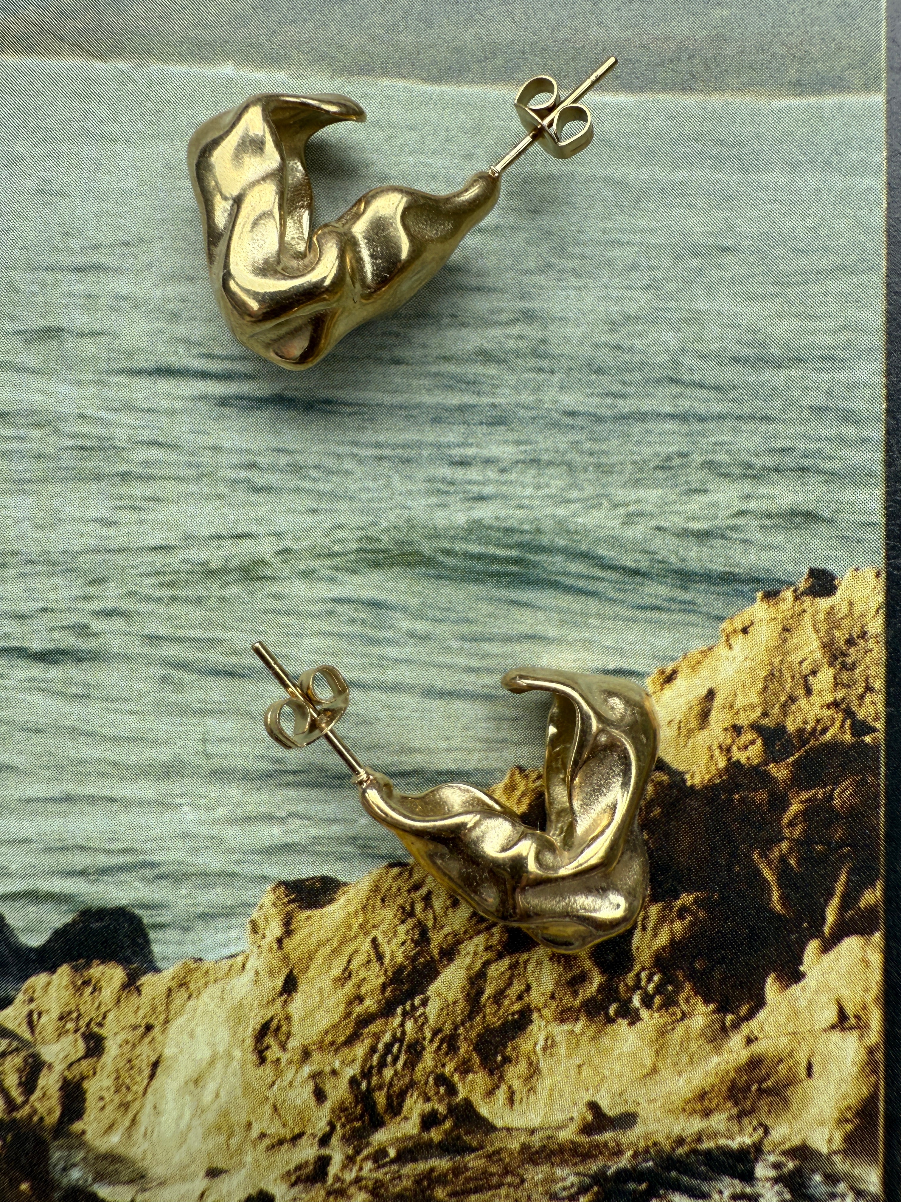 Earrings Loos