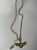 COLLIER AYLE