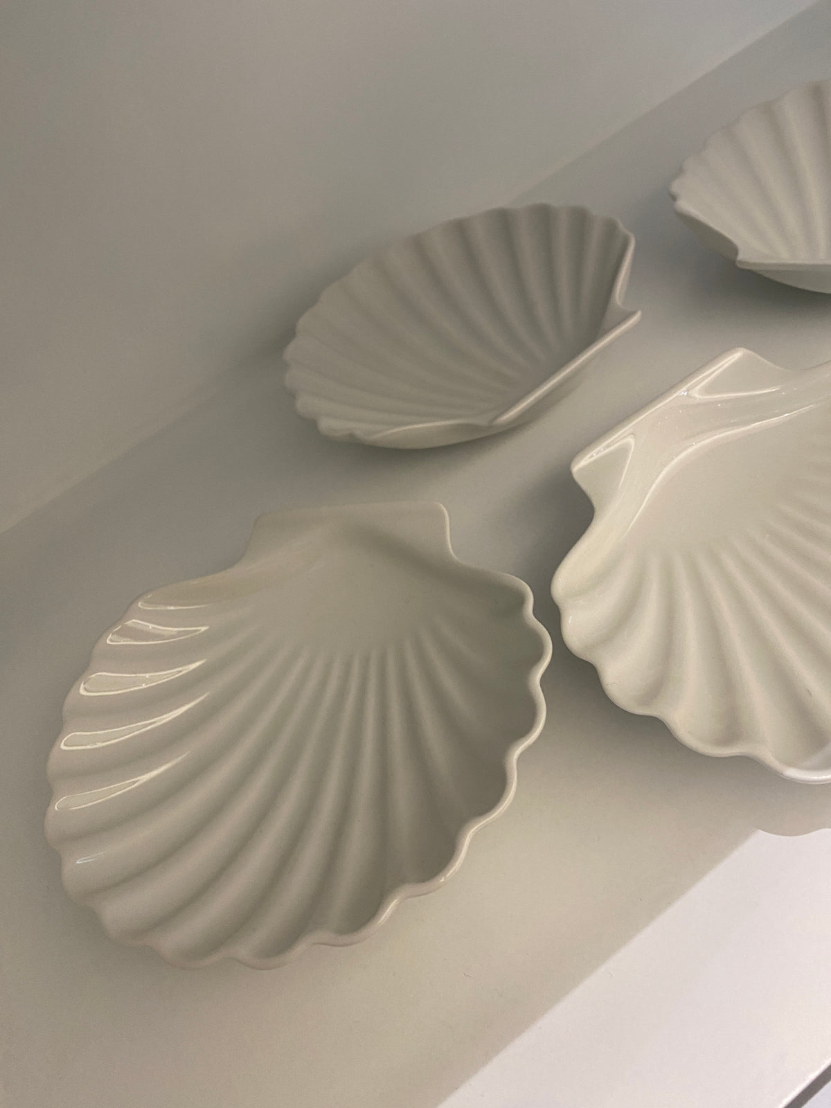 Small White Shell Plates